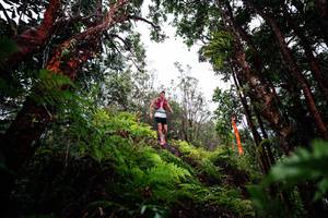 BIB: 
                            <button type="button" onclick="openModal(26201054)" class="btn btn-primary btn-sm float-right btn-popup" data-toggle="modal" data-target=".modal-high-quality">
                        <i class="fas fa-shopping-cart"></i> Add to Cart
                    </button>
                                            <button type="button" onclick="isThisMe(26201054, true)" class="btn btn-success btn-sm float-right btn-popup btn-isme hidden" data-toggle="tooltip" data-placement="bottom" title="นี่คือรูปของคุณใช่ไหม คลิกที่นี่เพื่อเอาเข้าอัลบั้ม">
                        <i class="fas fa-plus"></i> Add to album
                    </button>
                    <button type="button" onclick="isThisMe(26201054, false)" class="btn btn-warning btn-sm float-right btn-popup btn-isnotme hidden">
                        <i class="fas fa-ban"></i> Remove from album
                    </button>